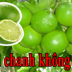 ban chanh khong hat
