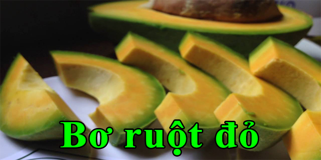 bo ruot do