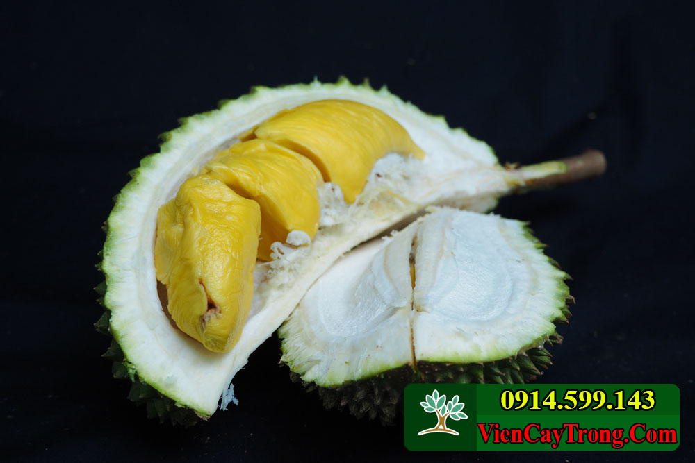 hinh anh qua sau rieng musang king