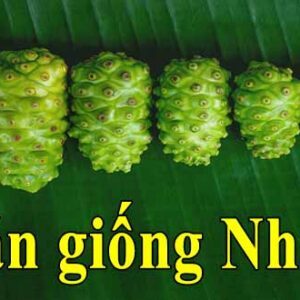 ban giong nhau