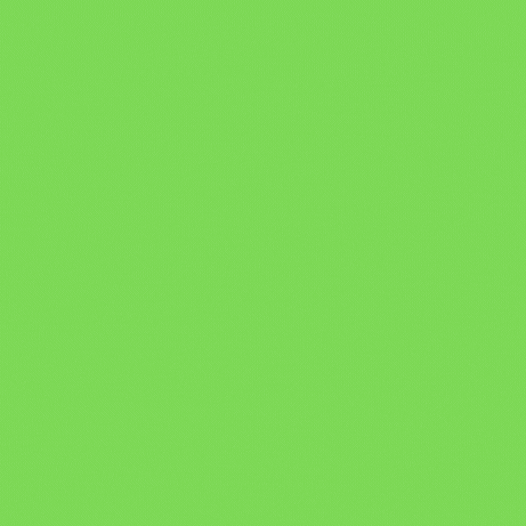 Bán giống sầu riêng Musang King vua của các dòng sầu riêng Bán cây giống sầu riêng Musang King. Cam kết đảm bảo đúng giống - Ảnh 8