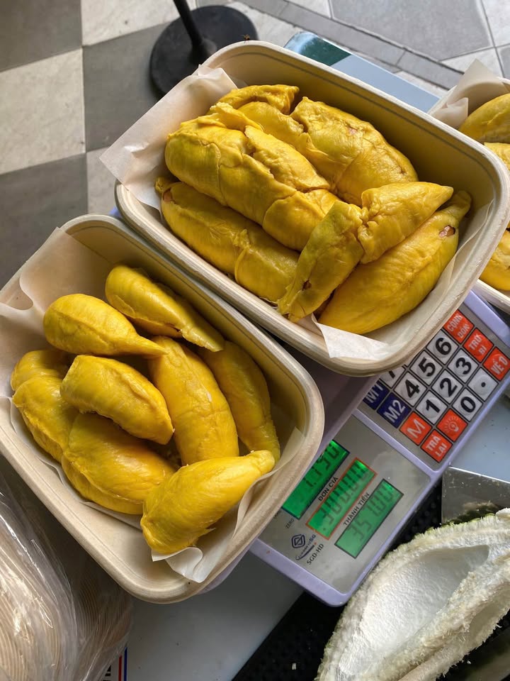 Cây Sầu Riêng Musang King Cây Sầu Riêng Musang King - Ảnh 2