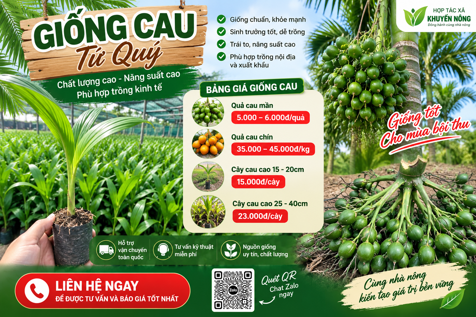Cây Cau Quả Dài