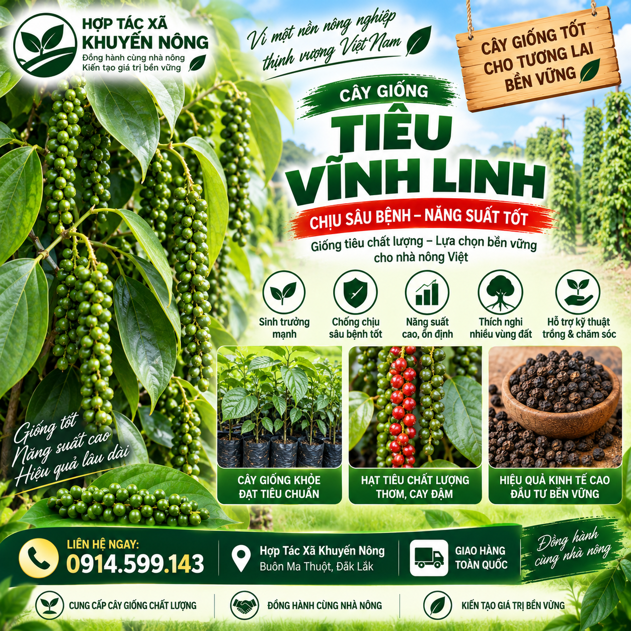Tiêu Vĩnh Linh Tiêu Vĩnh Linh
