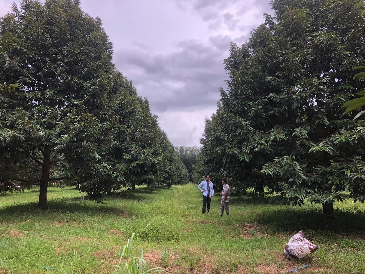 hợp tác xã khuyến nông