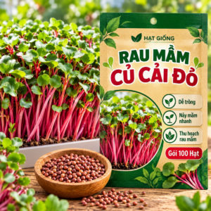 Rau Mầm Củ Cải Đỏ