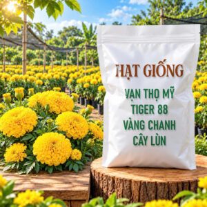 Hạt Giống Vạn Thọ Mỹ Tiger 88 Vàng Chanh - Cây Lùn