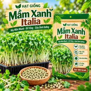 Hạt Mầm Xanh Italia