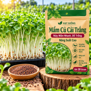 Hạt Giống Mầm Củ Cải Trắng 30 Gram
