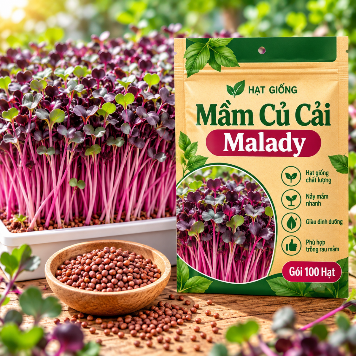 Mầm Củ Cải Malady