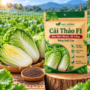 Hạt Giống Cải Thảo F1 Nảy Mầm Nhanh, Dễ Trồng, Năng Suất Cao
