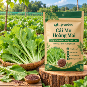 Hạt Giống Cải Mơ Hoàng Mai