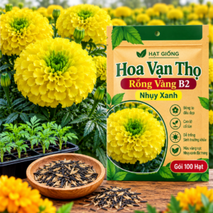 Hoa vạn thọ B2 Rồng Vàng - Nhuỵ xanh