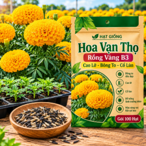 Hoa Vạn Thọ Rồng Vàng B3