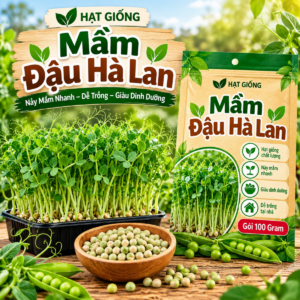 Hạt Giống Mầm Đậu Hà Lan