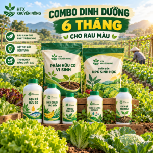 Combo dinh dưỡng cho cây rau màu trong 6 tháng