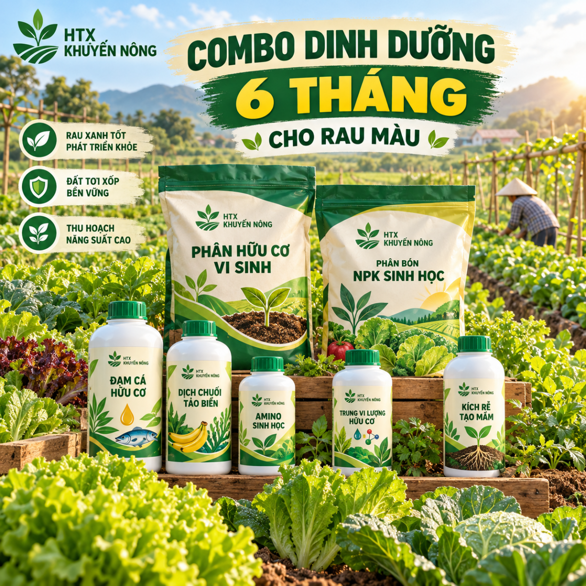 Combo dinh dưỡng cho cây rau màu trong 6 tháng