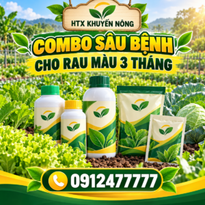 Combo sâu bệnh rau màu 3 tháng