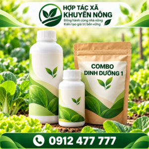 Combo dinh dưỡng cho cây rau màu trong 1 tháng