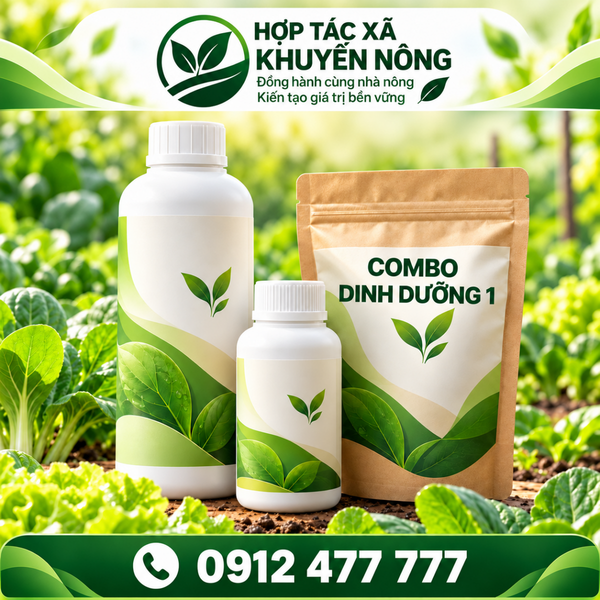 Combo dinh dưỡng cho cây rau màu trong 1 tháng