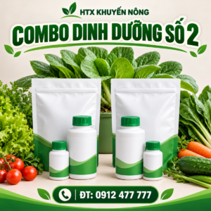 Combo dinh dưỡng cho cây rau màu trong 2 tháng