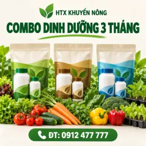 Combo dinh dưỡng cho cây rau màu trong 3 tháng