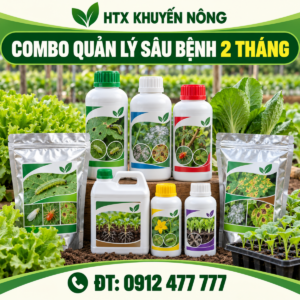 Combo quản lý sâu bệnh rau màu 2 tháng