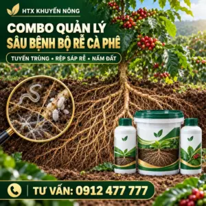 Combo quản lý sâu bệnh bộ rễ cà phê