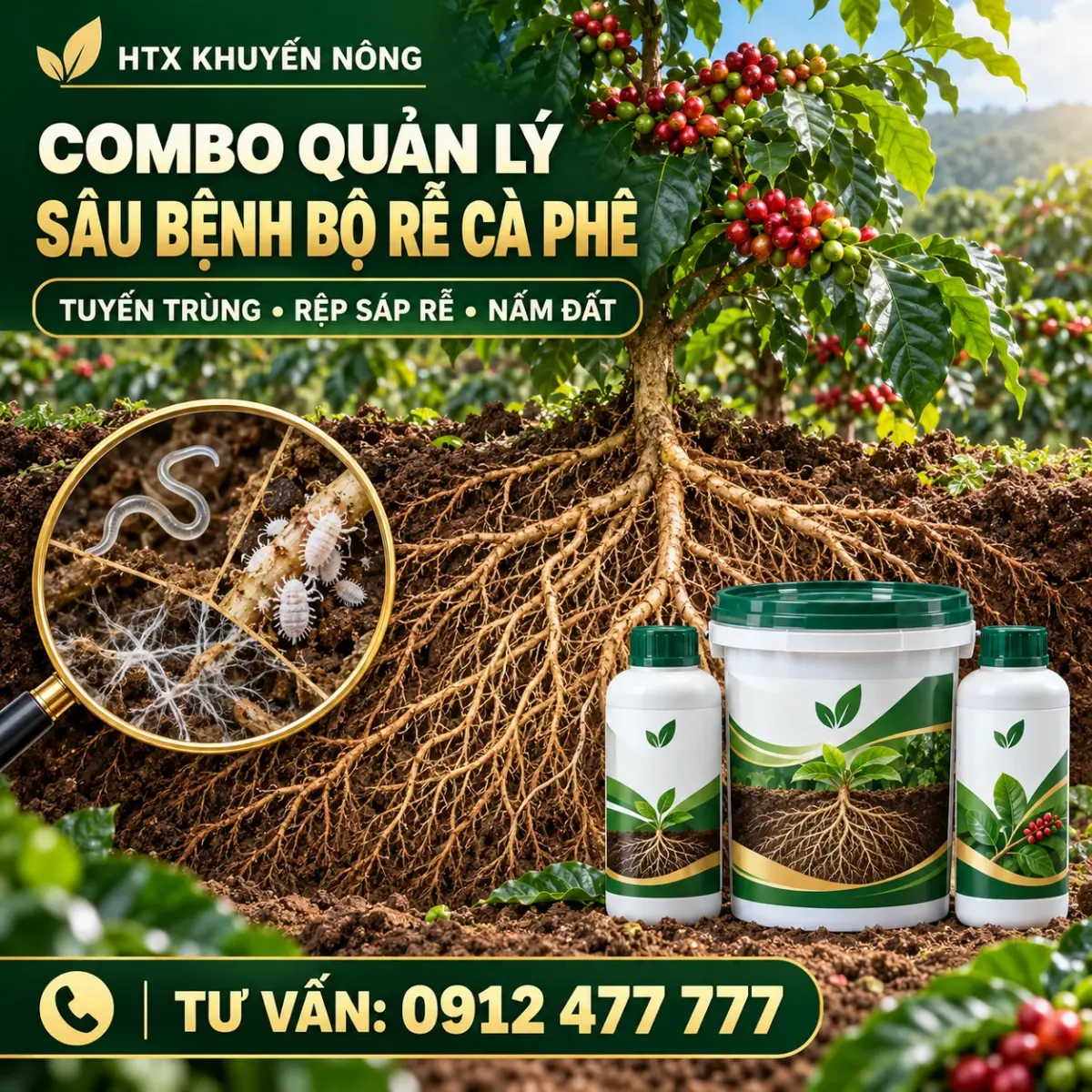 Combo quản lý sâu bệnh bộ rễ cà phê