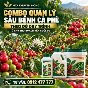 Combo quản lý sâu bệnh cà phê theo đủ quy trình