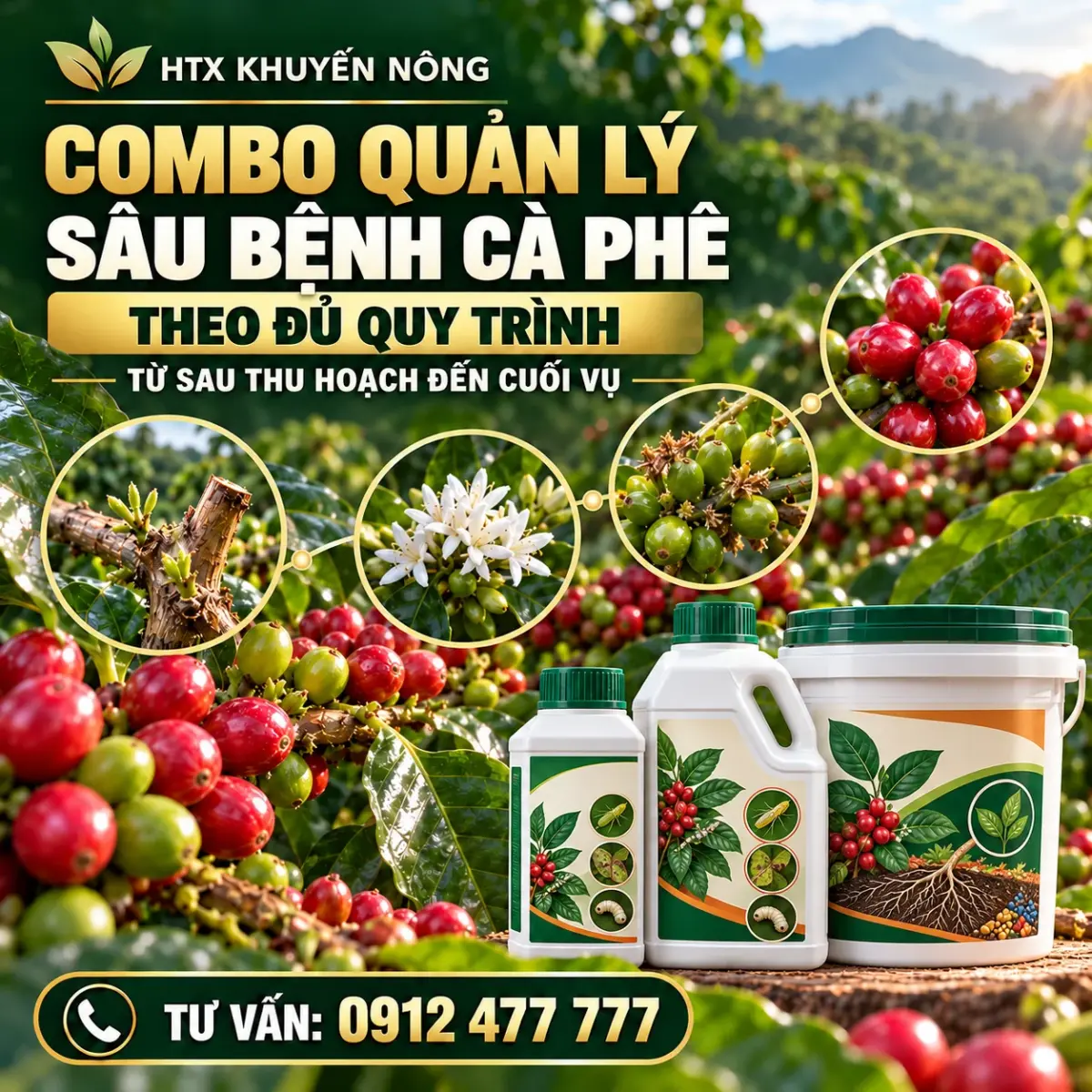 Combo quản lý sâu bệnh cà phê theo đủ quy trình