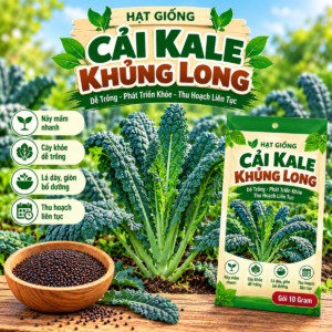 Cải Kale Khủng Long