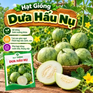Dưa Hấu Nụ