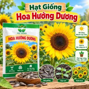 Hoa Hướng Dương