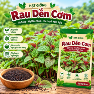 Rau Dền Cơm