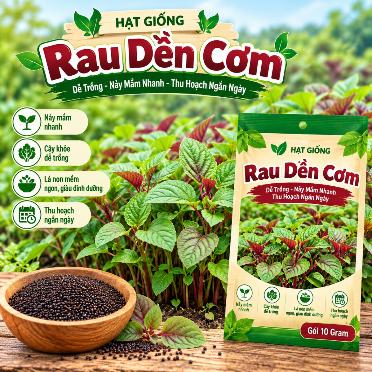 Rau Dền Cơm