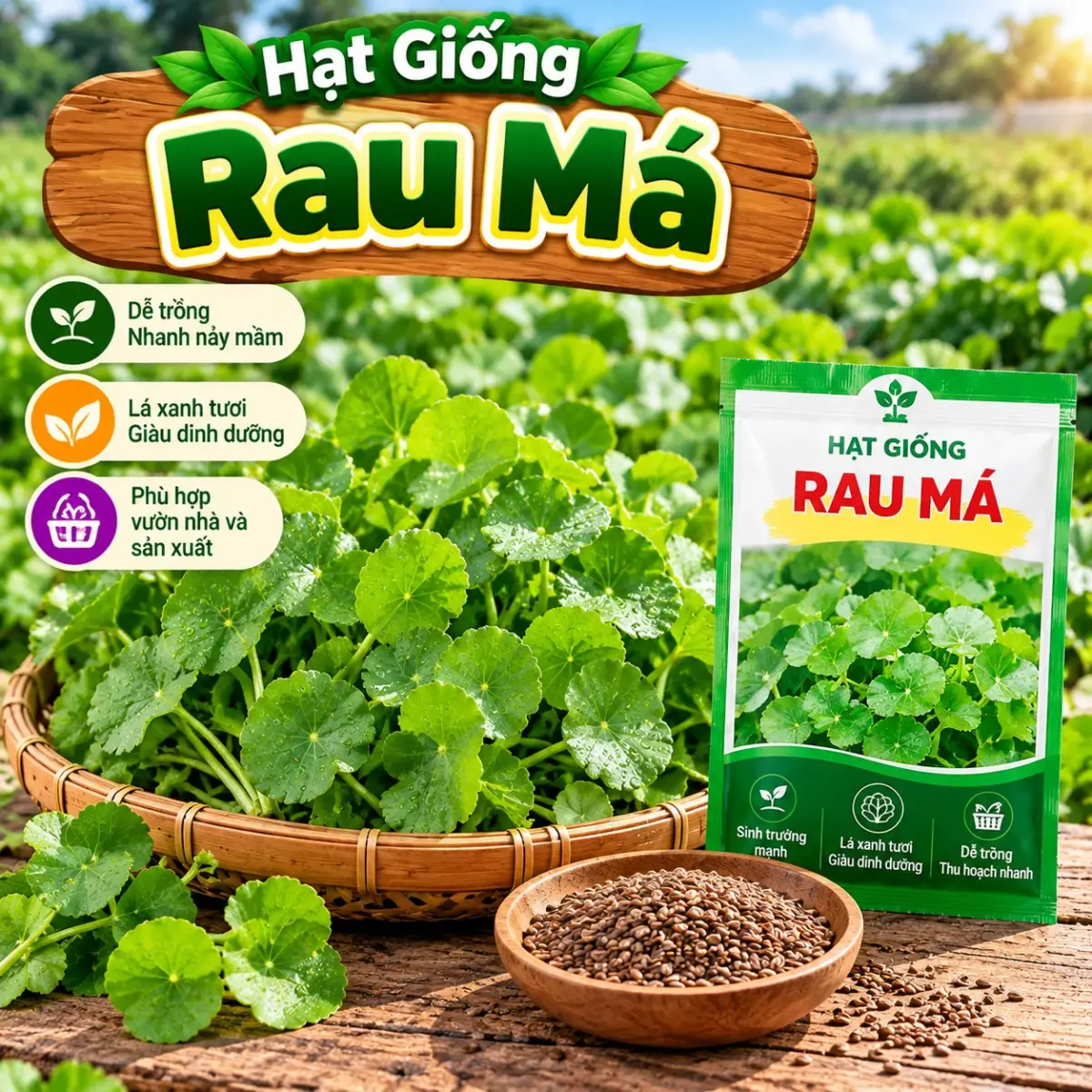 Rau má