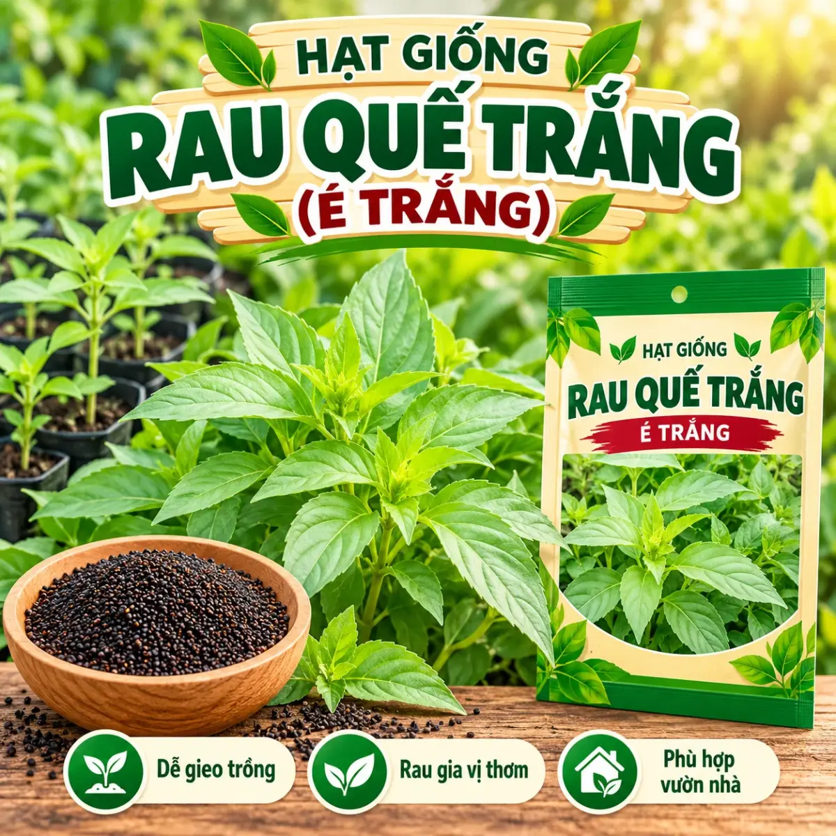 Rau Quế Trắng (É Trắng)