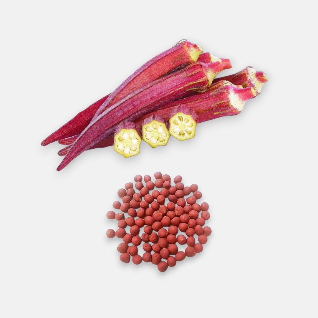 Hạt Giống Đậu Bắp Đỏ | Dễ Trồng, Sinh Trưởng Nhanh, Năng Suất Cao - Ảnh 3