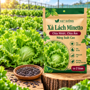 Hạt Giống Xà Lách Minetto Chịu Nhiệt, Chịu Ẩm, Năng Suất Cao Gói 2 Gram