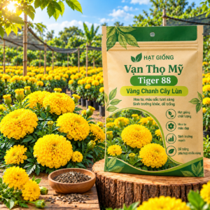 Hạt Giống Vạn Thọ Mỹ Tiger 88 Vàng Chanh