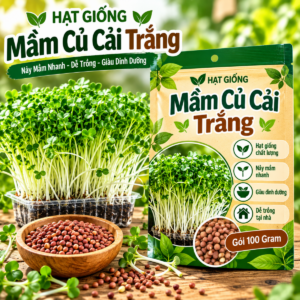 Hạt Giống Mầm Củ Cải Trắng