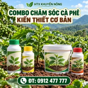 Combo chăm sóc cà phê kiến thiết cơ bản