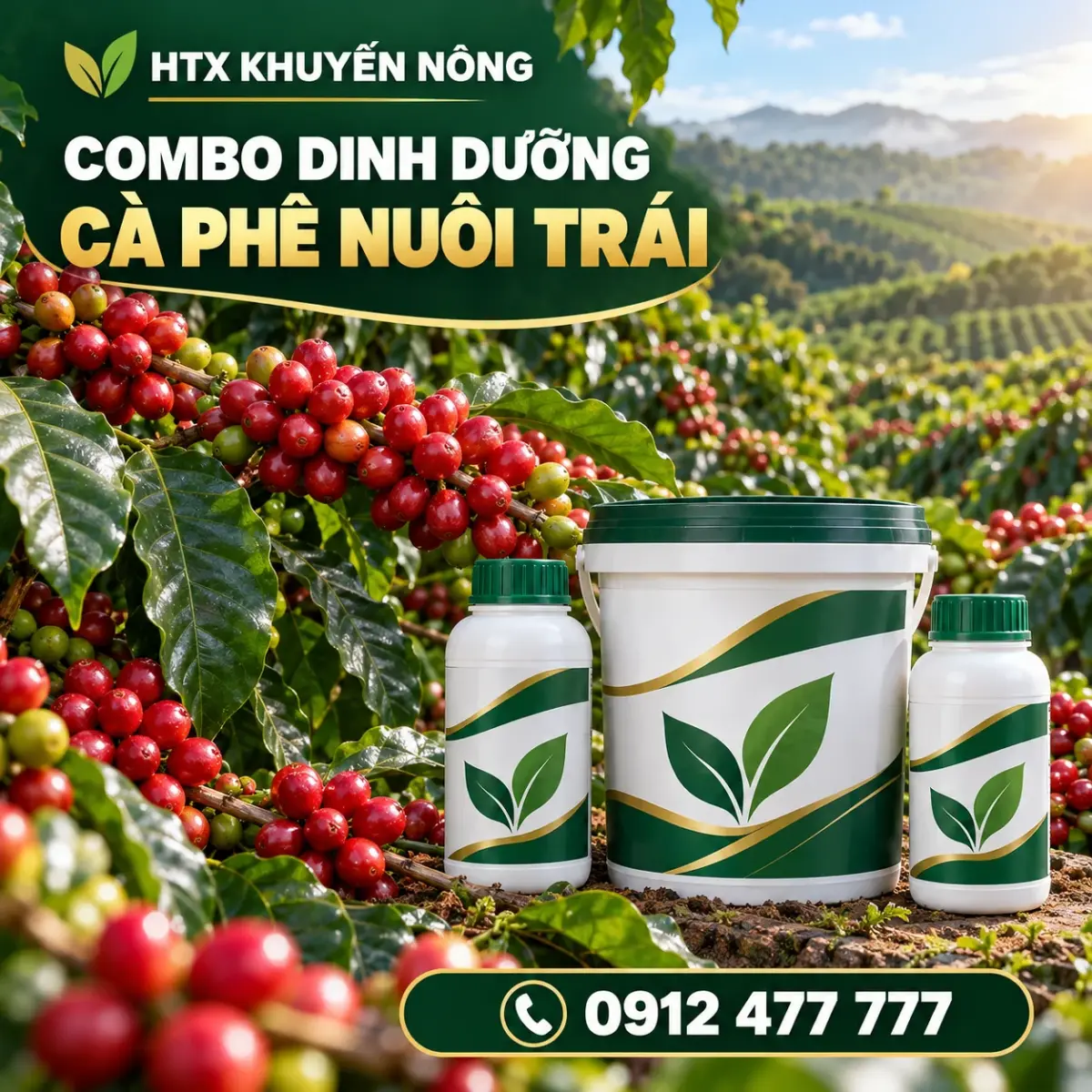 Combo dinh dưỡng cà phê nuôi trái cà phê