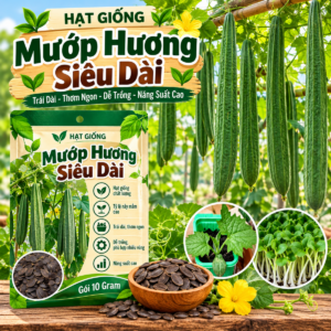 Mướp Hương Siêu Dài
