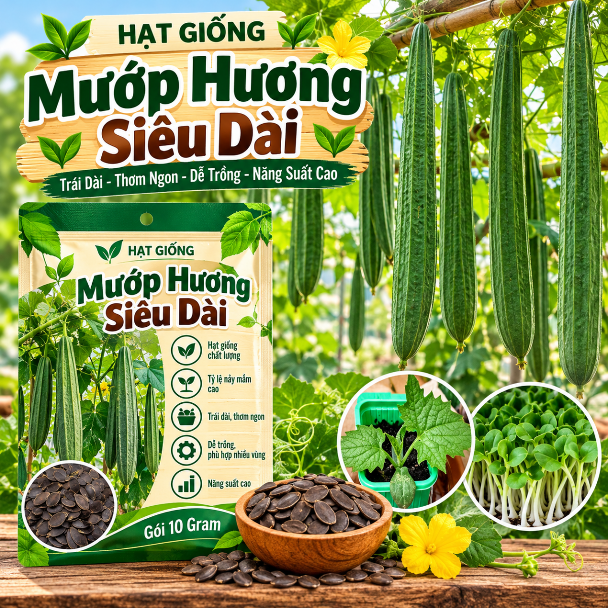 Mướp Hương Siêu Dài