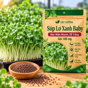 Hạt Giống Súp Lơ Xanh Baby Gói 100 mg