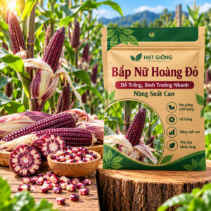 Hạt Giống Bắp Nữ Hoàng Đỏ | Nảy Mầm Nhanh, Dễ Trồng, Năng Suất Cao